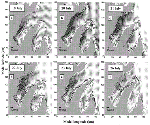 Selected images from the 3D, eddy-resolving CANDIE model, showing the major circulation patterns in 10–20 m depth (black arrows, speed and direction of the predicted currents; background shading, density anomaly with respect to the initial stratification).