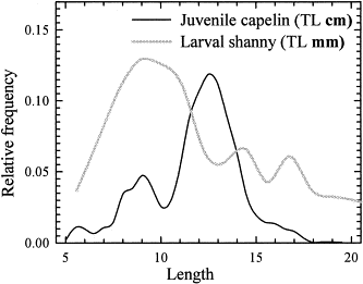 Relative length-frequency distributions of capelin (n=3341) and larval radiated shanny (2811) sampled (larval shanny standard lengths SL were transformed to total lengths TL according to TL=1.115 SL, R2=0.98, n=270).