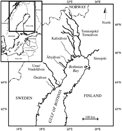 The remaining wild salmon rivers (named and black, investigated ones; grey, others) flowing into the Gulf of Bothnia, northern Baltic Sea.