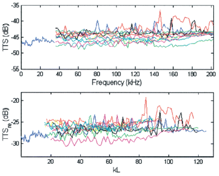 Total target-strength (TTS) measurements for the anchovy in-frequency domain (top) and kL domain (bottom). The results the for 10 individual fish at f > 36 kHz and the average of 35 fish at f < 36 kHz.