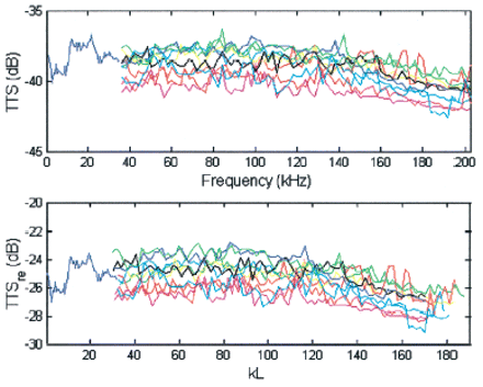 Total target-strength (TTS) measurements for the sardine in the frequency domain (top) and kL domain (bottom). The results are for 10 individual fish at f > 36 kHz and the average of 10 fish at f < 36 kHz.