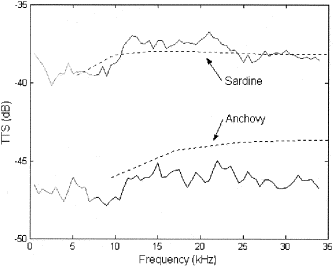 Average TTS measurement for the anchovy and the sardine for the low-frequency measurements (0.5–34 kHz). The dashed lines show the theoretical predictions for one anchovy and one sardine. The measurements below 5 and 7 kHz (grey) for the sardine and anchovy, respectively, are dubious because of the low number of modes excited in the cavity (see section Methods for elaboration).