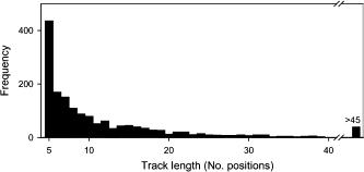 The distribution of track lengths for euphausiids tracked during the dusk ascent on 12 August 1996 (n=1611).