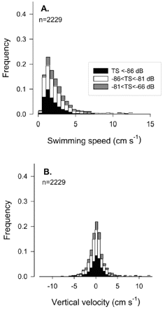 Histograms of (A) swimming speeds and (B) vertical velocities of euphausiids tracked during the daytime at 85-m depth. Tracked targets (n=2299) are separated into three target-strength classes based on the maximum observed TS.