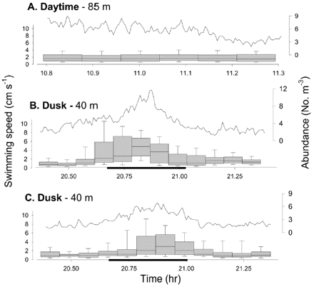 The temporal trends in euphausiid swimming speed during (A) daytime, and (B,C) dusk ascent into surface waters. Box plots demarcate the 10th, 25th, 50th, 75th, and 90th percentiles of observations over 5-min periods. Continuous lines and right-hand axes indicate the abundance of acoustic targets >−91 dB for each record. The heavy line along the abscissa demarcates the period defined as the peak ascent.