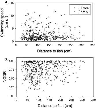 Euphausiid swimming behavior as a function of fish proximity. (A) Swimming speed as a function of distance to a fish. (B) Net to gross displacement ratio (NGDR) as a function of distance to a fish. NGDR is the ratio between the net displacement over a time interval and the total distance traveled.