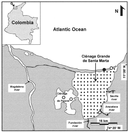 CGSM—Colombia, showing the fixed grid of 115 stations (+) sampled during rainy (1993) and dry (1994) seasons. (○) Denotes fishing ports, highlighting the port of Tasajera (●).