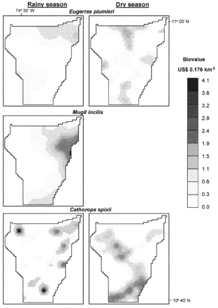 Ordinary kriging maps of biovalue (US$ 0.176 km−2) for each species in rainy (1993) and dry (1994) seasons in the CGSM. The kriged map was not performed for M. incilis in the dry season, due to the lack of spatial autocorrelation.