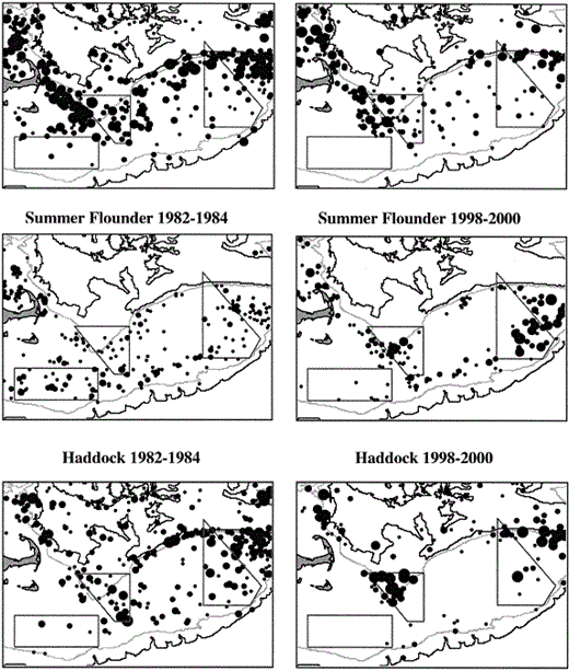 Catch per tow for summer flounder and cod during from NMFS bottom trawl surveys. Each figure shows all tows with positive catch during spring and fall surveys over 3 year intervals. The smallest dots represent tows with CPUE of 1–5 kg per 30 min tow. Largest dots represent tows over 75 kg tow−1. Intermediate size dots represent 5–15, 15–35 and 35–75 kg tow−1, respectively.