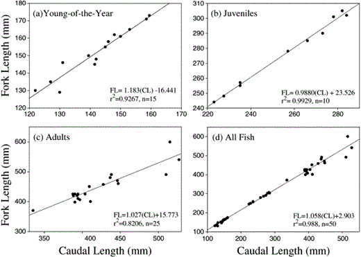 Fork length (FL in mm) plotted as a function of caudal length (CL in mm) for (a) young-of-the-year (n=15), (b) juvenile (n=10), (c) adult (n=25), and (d) all walleye pollock (n=50) combined.
