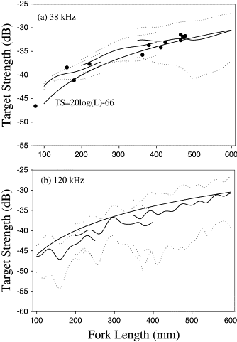 Target strength (dB) plotted as a function of walleye pollock fork length (mm) at (a) 38 kHz and (b) 120 kHz. In each plot the segmented line is the mean KRM-predicted TS, the dotted line is one standard deviation from the KRM mean, the solid line is the 38 kHz TS–length regression model used by NMFS Alaska Fisheries Science Center. The solid points are mean in situ TSs and length catches from Bering Sea samples (cf. Table 1).