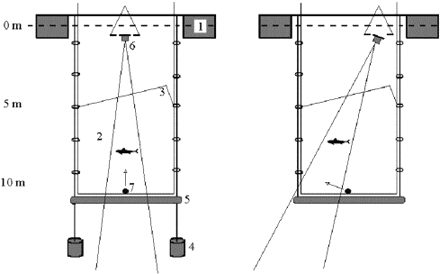Schematic overview of the experimental set-up: (1) pier, (2) net pen, (3) net roof, (4) weight, (5) air-filled aluminium frame, (6) split-beam transducer and (7) calibration sphere. The arrow next to the calibration sphere shows how the sphere could be moved into the acoustic beam. The panel on the left illustrates an experiment with a vertical transducer while the right panel shows an experiment with a tilted transducer.