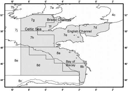 The study area (shadowed) that includes the English Channel, Celtic Sea, and the French West coast. It covers ICES Subdivisions 7d, 7e, 7g, and 7h, and ICES Subdivisions 8a, 8b, 8c, and 8d.