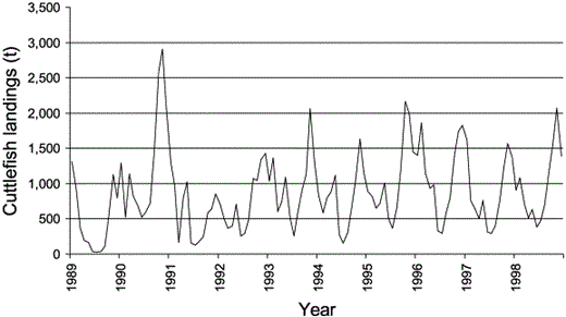 Monthly total cuttlefish landings by UK and French trawls in the study area from 1989 to 1998.