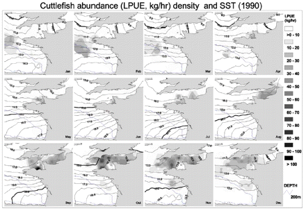 Monthly cuttlefish abundance in 1990 was converted from point format into grid format and displayed with intervals of 5 kg h−1, with a background of SST, which was converted from point data into isotherms with intervals of 0.5°C.
