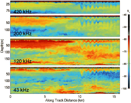 Multiple-frequency acoustic-backscatter data collected by BIOMAPER-II from the internal-wave survey. The internal wave (observed from 10 to 15 km in along-track distance) has two layers which have different scattering strengths at different frequencies.