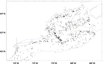 Occurrence of juvenile Atlantic cod (crosses) and the significant hangs (black dots).