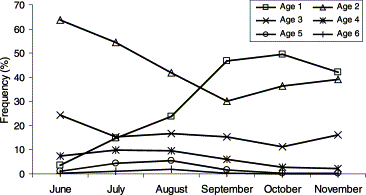 Mean proportion of the baitboat catch of bluefin tuna by age and month.