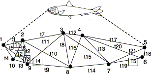Location of anatomic landmarks and design of the truss network used in sardine morphometric analysis. Distances used in multivariate methods (t1–t21) were defined by landmarks 1–10 (truss network) and 11 and 12 (eye diameter). Landmarks 13–15 (indicated by squares) were only included in the geometric analysis.
