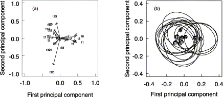 Main results of the principal components analysis on size-corrected truss variables. Vectors indicate (a) the loadings and (b) centroids (black dots) and 95% confidence ellipses of the scores for each of the samples on the first two principal components.