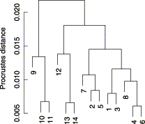 Dendrogram resulting from cluster analysis of Procrustes distances among sardine mean shape for each of the samples.