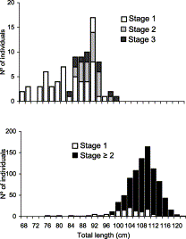 Length frequency distribution of C. coelolepis by maturity stage of (top) males and (bottom) females.