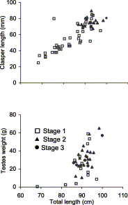 Relationship between (top) clasper length (mm) and (bottom) testis weight (g) and total length (cm) of male C. coelolepis by maturity stage.