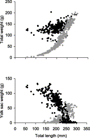 Relationship between (top) embryo weight (g) with (black dots) and without external yolk sac (grey dots) and (bottom) weight of the external (black dots) and of the internal yolk sac (grey dots) and embryo length (mm) of C. coelolepis.