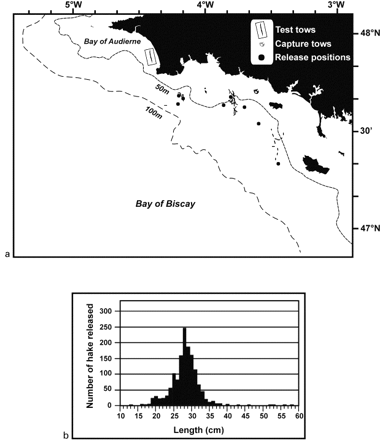 (a) Localities of test tows, capture tows, and release positions, and (b) frequency distribution of the size of fish released.