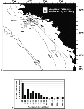 (a) Localities of recapture of tagged hake (only fish that had covered a distance greater than 10 nautical miles are shown), and (b) frequency distribution of time at liberty.