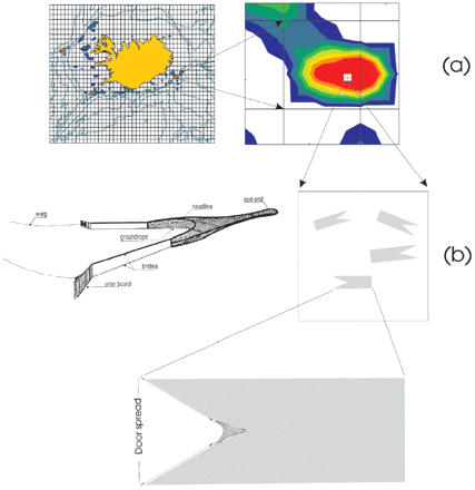 Calculation of swept area. (a) Four squares, each 1′ latitude and 1′ longitude, highlighted (white). (b) Four tows within a single square. The shaded area represents the area swept. Example of a typical otter trawl is shown for explanatory purposes (adapted from Lindeboom and de Groot, 1998).