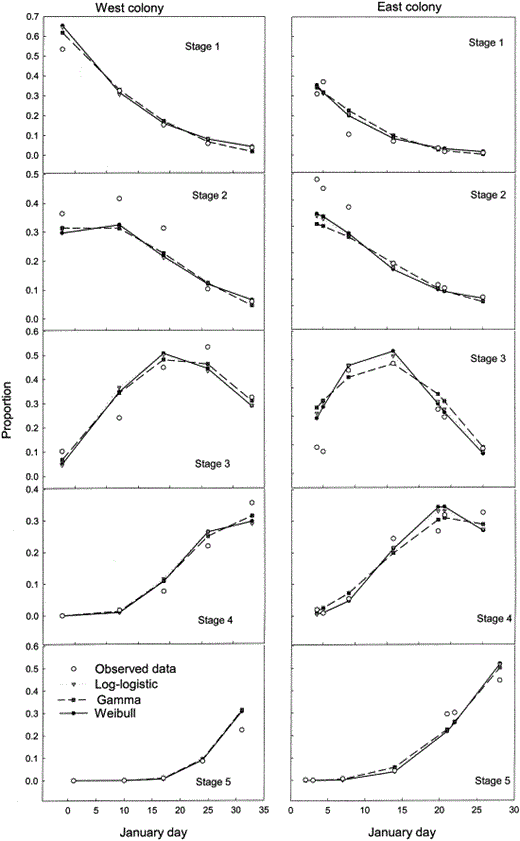 Observed and model estimates (three models, see Table 7) of the proportion of each pup stage throughout the breeding season in 1997 in the east and west colonies.