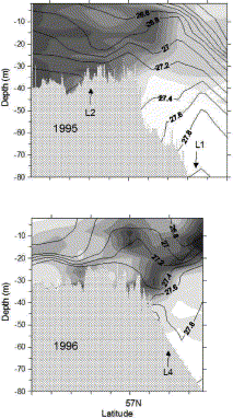 Isopleths of water density (0.2 kg m−3 intervals) and relative fluorescence (chlorophyll, scaled to the highest value observed per cruise) along the transect (0.1° intervals) shown in Figure 1, based on 12 CTD casts in 1995 and on eight casts in 1996. Positions of L1, L2 and L4 are indicated.