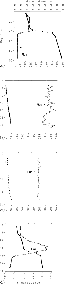 Vertical profiles of water density (kg m−3) and fluorescence (chlorophyll, arbitrary scaled by cruise) by sampling location: (a) L1, (b) L2, (c) L3, and (d) L4.