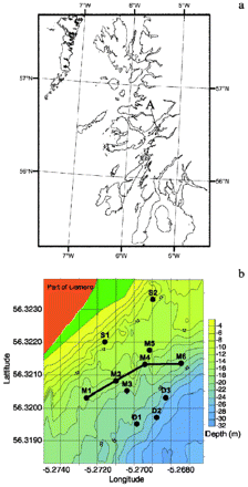 (a) Location of surveyed area in Loch Linnhe (A) on the west coast of Scotland and (b) bathymetric detail of the surveyed area (latitude and longitude in decimal minutes), location of sampling stations (S1, S2, M1–M6, D1–D3) and of the transect (M1–M2–M4–M6; total distance 585 m).