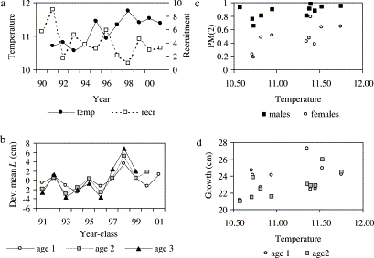 (a) Trends in sea surface temperature (SST; °C) and cod recruitment (millions of fish at age 0); (b) deviation of mean length-at-age (cm) from the series means, by year class; (c) proportion mature at age 2 vs SST; (d) mean length at age 1, and growth increment from age 1 to age 2, vs SST.