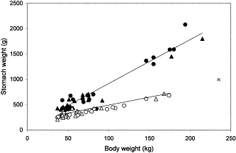 The relationship between stomach weight and body weight of harp (Pagophilus groenlandicus, open symbols) and hooded (Cystophora cristata, filled symbols) seals examined in this study. Circles and triangles denote male and female specimens, respectively. One female hooded seal (×) was considered a priori to be an outlier and was excluded from the statistical treatment.