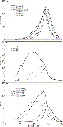 Length frequency distributions estimated by the model for 1980. (a) Unrestrained catch of different gear types. Nets and eel boxes with a mesh size of 20 mm, longlines with hooks of 10-mm gape width. (b) Unrestrained catch of an 8-m beam trawl, with different mesh sizes (mm). (c) Selections of the catch of an 8-m beam trawl with 10-mm mesh.