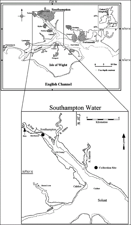 The study area with detail showing the position of the Cracknore sampling site and sites sampled in previous studies.