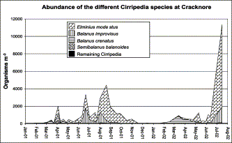Density of the different Cirripedia species present in the zooplankton of Cracknore during 2001–2002.