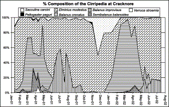 Temporal variability of the different Cirripedia species present in the zooplankton of Cracknore during 2001–2002.