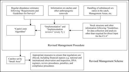 Schematic diagram of the management-procedure approach for commercial whaling (after Hammond and Donovan, in press) demonstrating the relationship between the CLA, the RMP, and the RMS.