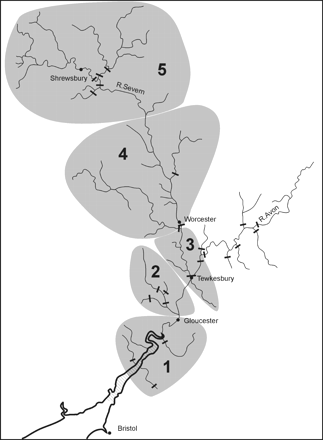 Map of the Severn catchment, indicating the reaches defined for the SMEP modelling (grey shading). Black bars represent major migration obstacles.