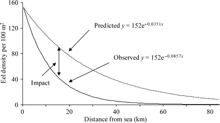 River Severn eel population: the RCM predicted (dotted line) and observed (1983/1984) rate of decline in eel density (black line) with distance upstream from tidal waters (after ICES, 2003).