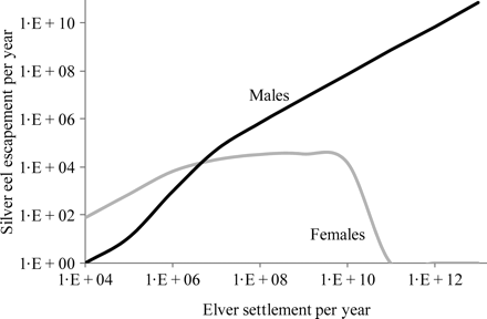 Variation in male and female silver eel escapement (numbers) under the conditions of stable equilibrium, simulated by the SMEP with increasing levels of elver settlement.