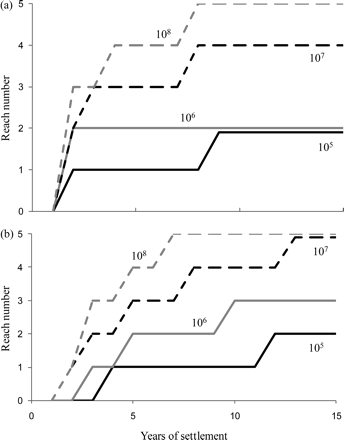 SMEP simulations of the progressive, upstream dispersal over time of (a) undifferentiated, and (b) differentiated yellow eels through reaches 1–5 in the study basin under levels of annual elver settlement varying from 105 to 108.