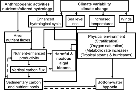 Potential physical and hydrological changes resulting from climate change and their interaction with current and future human activities. The dashed lines represent negative feedback to the system.
