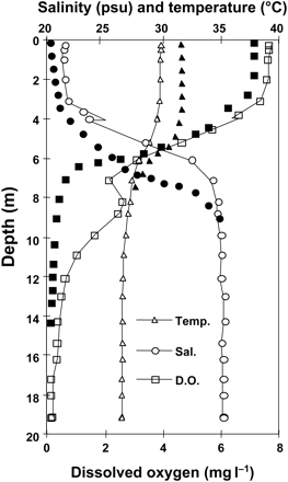 Typical thermocline, halocline, and oxycline for a station in 20 m, ∼100 km west of the Mississippi River delta in midsummer (see Figure 5). The open symbols are recorded data, and the filled symbols are predicted changes with increased surface water temperature and increased freshwater discharge. For dissolved oxygen (D.O.), the predicted response is for lower oxygen in the upper water column because of decreased saturation and lower oxygen higher in the water column and lower values below the thermo- and halocline.