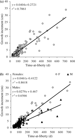 Growth increment (ΔL) plotted against time-at-liberty (ΔT) of hake tagged in the Gulf of Lions in 2006. (a) Combined sexes. (b) Separate sexes (F, female; M, male).