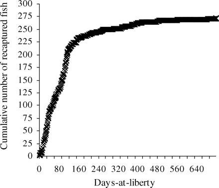 Cumulative number of recoveries (n = 272) from the 2006 tagging experiment in the Gulf of Lions plotted against time-at-liberty.